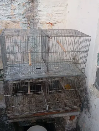 Vendo gaiola criadeira 