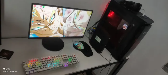PC gamer
