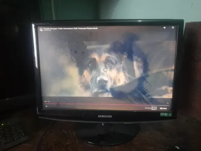 Monitor Samsung SyncMaster 2233RZ 22" - Funcionando com Defeito na Tela