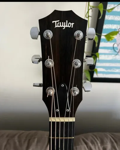 Taylor 114ce c/ Case
