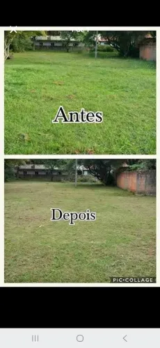 Vendo limpeza do quintal