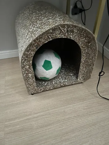 Casa Pet