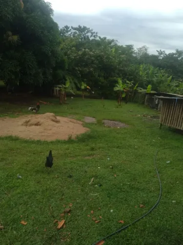 VENDE-SE CASA COM AMPLO TERRENO - ÓTIMA OPORTUNIDADE! ?<br>