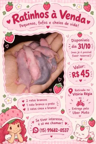Ratos Twister à venda