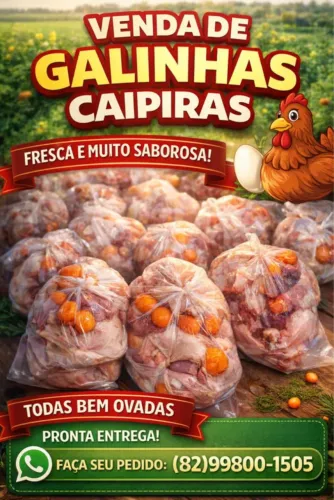 Galinha Caipira 