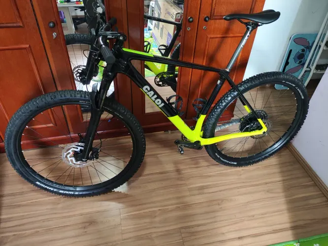 Caloi Elite Carbon Racing