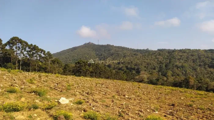 Terreno para venda em Gonçalves MG