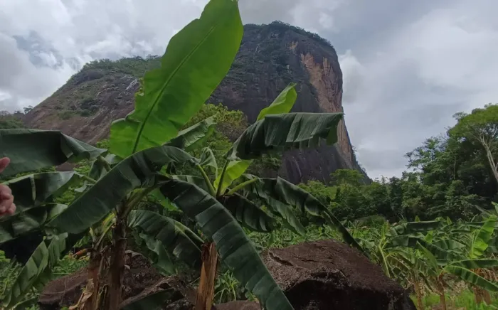 Magnifico Sítio em Serra Cruz, Macaé/RJ