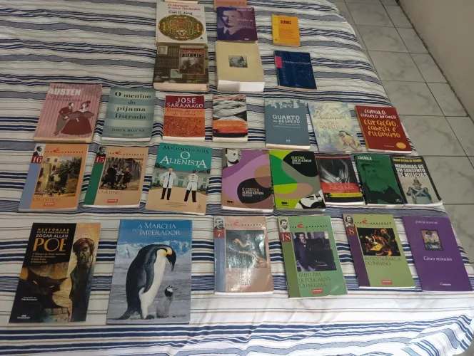 Livros didáticos para universitários, concursos e passar tempo