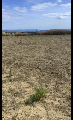 Vende-se uma excelente fazenda de 430 alqueires