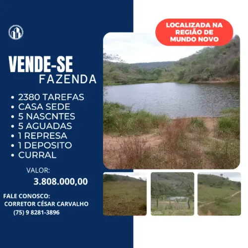 FAZENDA NA REGIÃO DE MUNDO NOVO