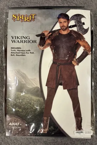 Fantasia Viking Masculina 