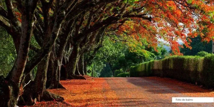 Terreno à venda no Ipê Rosa, Ribeirão Preto, SP,