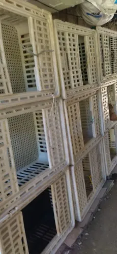 Caixas transporte de aves