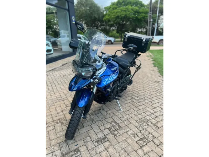 Triumph Tiger 800 xr 2020