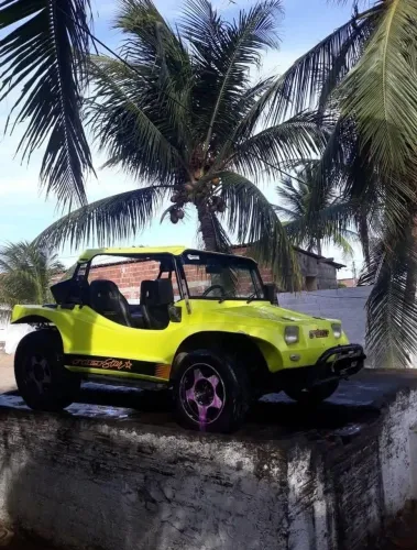 Fyber Buggy 2000w 1.6 8V 2021