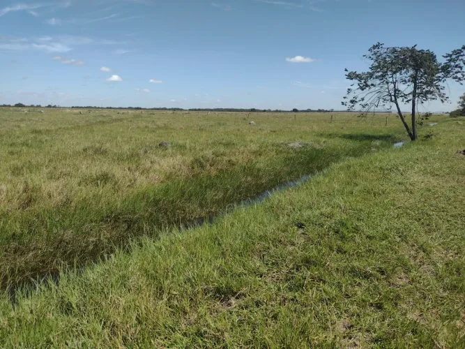 FAZENDA 1.804 HEC NO NOROESTE DE MG - COMPLETA, IRRIGADA E PRONTA PARA LUCRAR