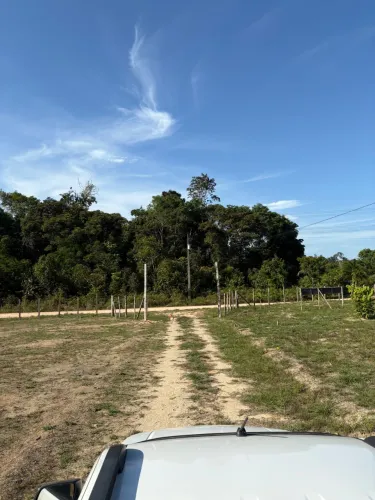 Sítio no rio preto da Eva 