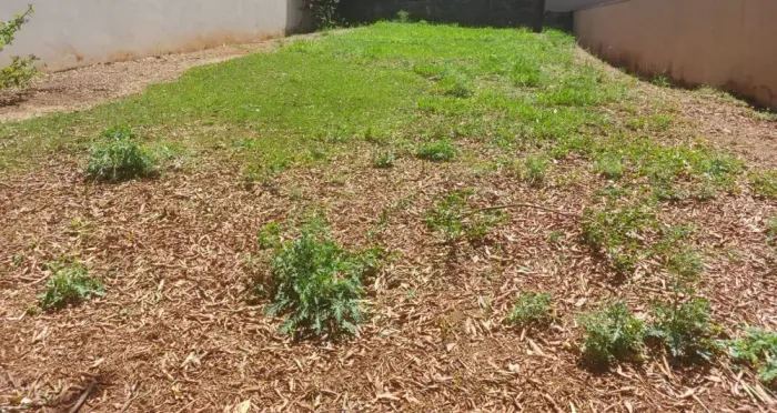 Terreno em condomínio fechado com 336m², bairro Vila do Golf, Zona Sul de Ribeirão Preto/S
