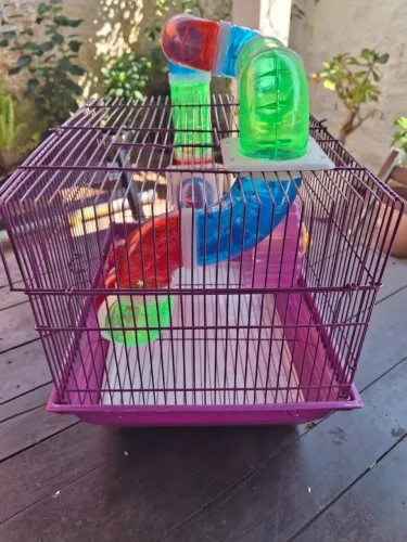 Gaiola para hamster