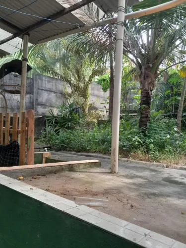 AC- Vende-se casa em São Tomé de Paripe
