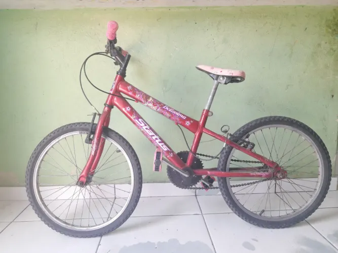 Bicicleta