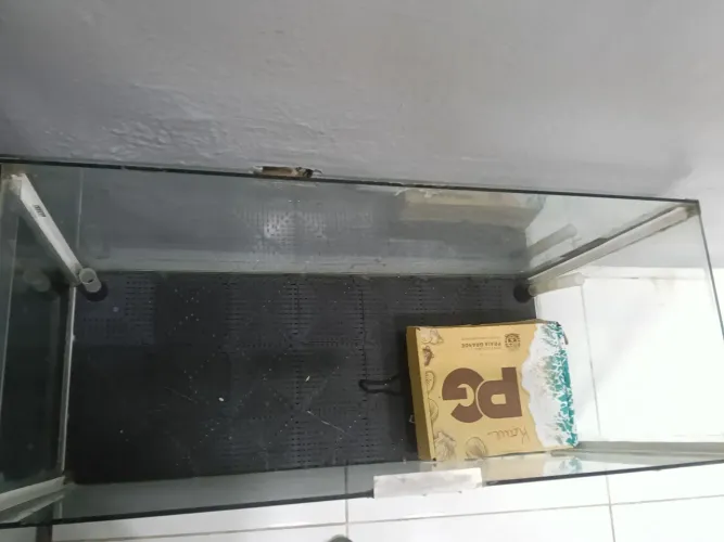 Aquário 200L