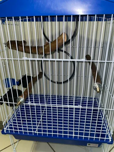 Vendo gaiola completa para calopsita/periquito, nunca usada 