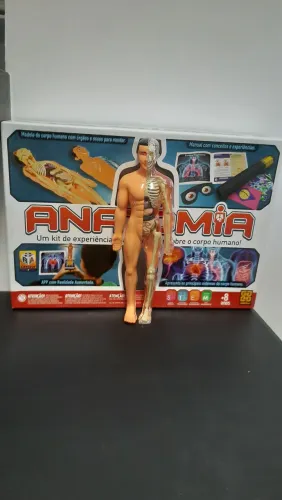 Jogo Brinquedo Educativo Anatomia