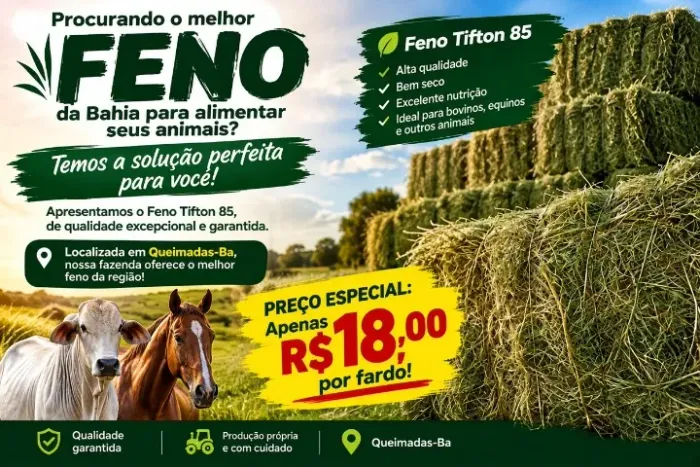 Fardos de tifton 85