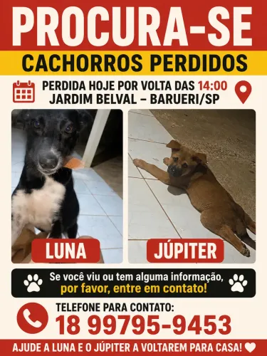 Procura se