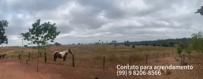 Arrendamento de fazenda terra para Pasto