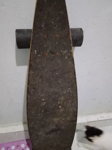 Skate longboard