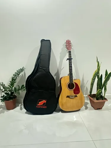 Violão Giannini Folk GF-1R Natural + capa Almofadada