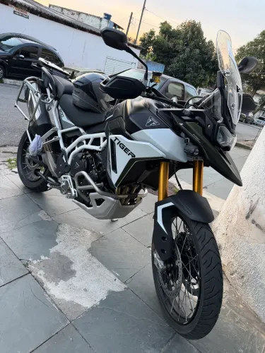 Tiger rally pro