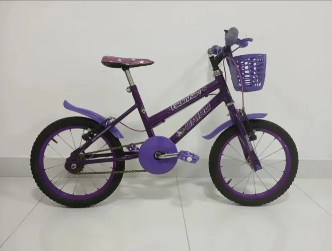Vende-se Bicicleta Infantil Cairu Fadinhas Aro 16 R$ 500,00, Leia o anúncio.
