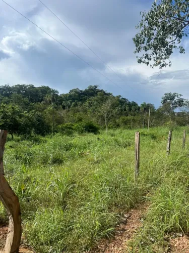 FAZENDA 31 ALQUEIRES - NIQUELÂNDIA/GO