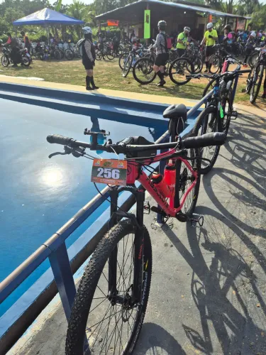 Bike aro 29 Absolute Quadro 19