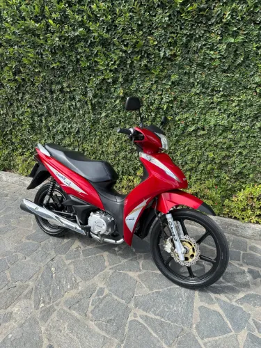 Avelloz az1 50 2021 novíssima