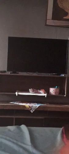 TV só não funciona a imagem 100 reais