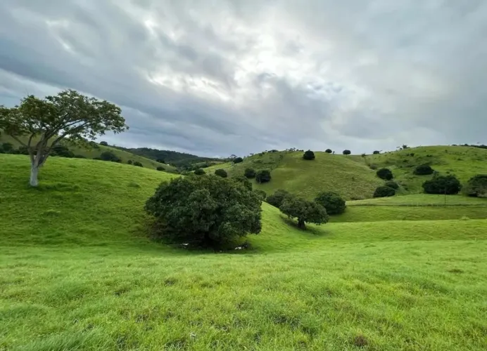 Sítio para Venda em União dos Palmares, 2 dormitórios, 1 banheiro