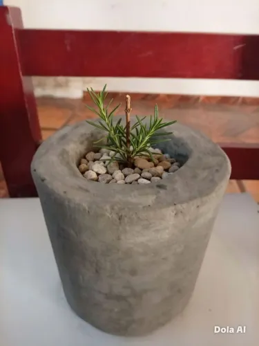 Vaso para plantas