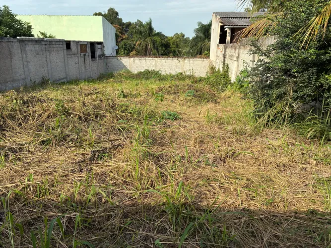 Terreno