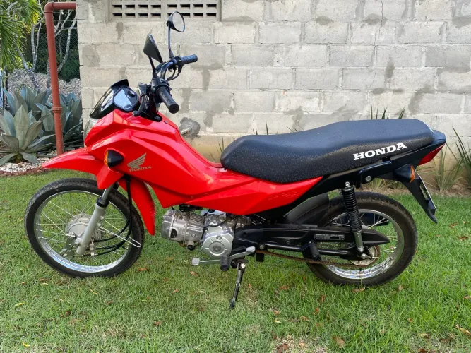 Honda pop 2023