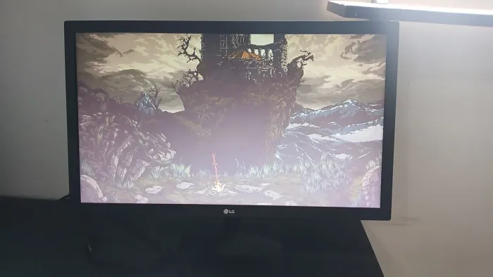 Monitor 19"