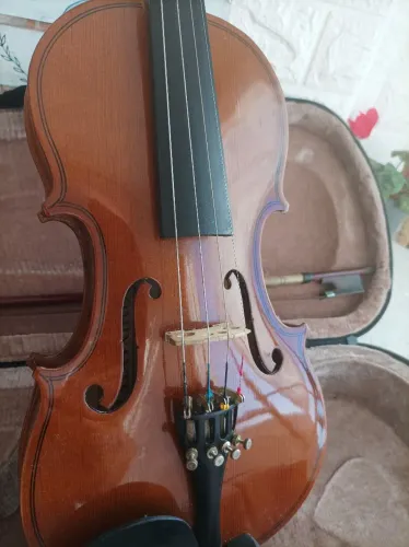 Violino