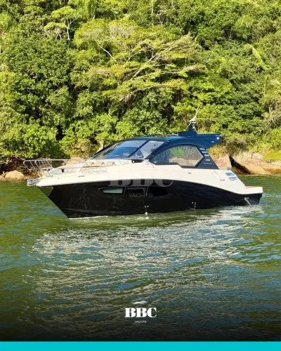 Focker 388 2022 (Phantom ,Armada, Nhd,Prestige, Ventura, Nx,Ar matti)