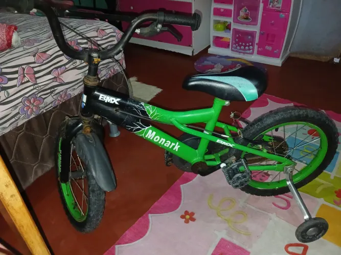 Bicicleta