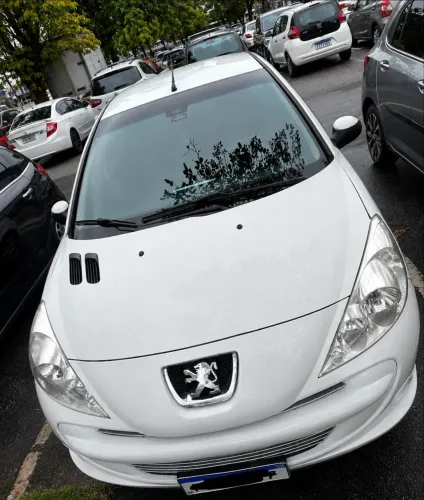 Peugeot 207 SW XR Sport 1.4 Flex 8V 5P 2012