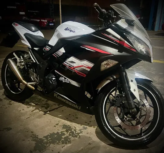 Ninja 300